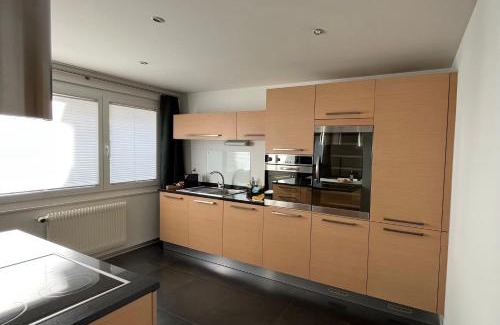 Sion Apartment | Pet-Friendly Appartement Tourbillon in City Center, 9.5 Rated