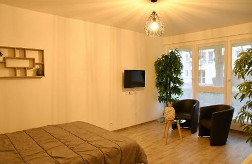 Draveil Apartment | Relax in Appartement Tropical with Hot Tub and Balnéothérapie