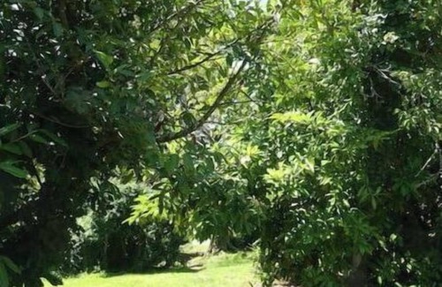 Cuguron Apartment | Scenic Apartment with Pyrenees Views & Family Activities