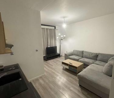Lille Sud Apartment | Family-Friendly Appartements for Four in a Prime Location