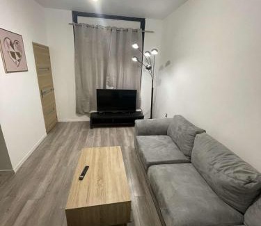 Lille Sud Apartment | Family-Friendly Appartements for Four in a Prime Location