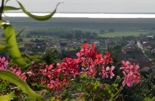 Donnerskirchen Apartment | Family-Friendly Appartements Panorama with Great Reviews