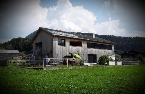 Bizau Apartment | Family-Friendly Apartment Hirschberg with 9.4/10 Rating