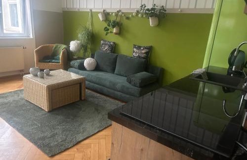 Jena-West Apartment | Inviting Apartment in Villenviertel - Pet & Child Friendly