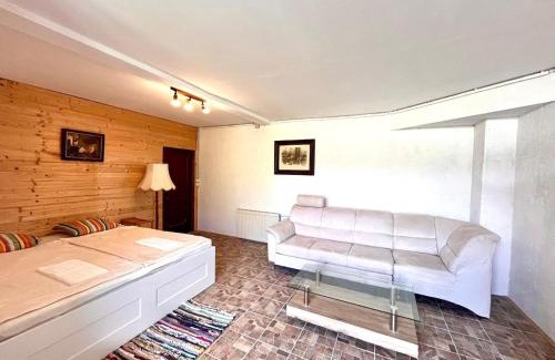 Fels am Wagram Apartment | Appartment Susi