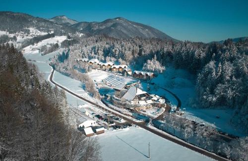 Kamnik Apartment | Appartments Vrba, Terme Snovik