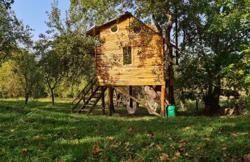 Valea Mare-Pravat Other | Pet-Friendly Apple Tree Cabin with 10/10 Guest Rating