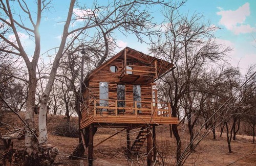 Valea Mare-Pravat Other | Pet-Friendly Apple Tree Cabin with 10/10 Guest Rating