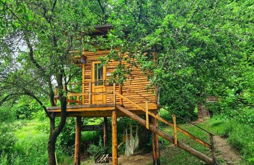 Valea Mare-Pravat Other | Pet-Friendly Apple Tree Cabin with 10/10 Guest Rating