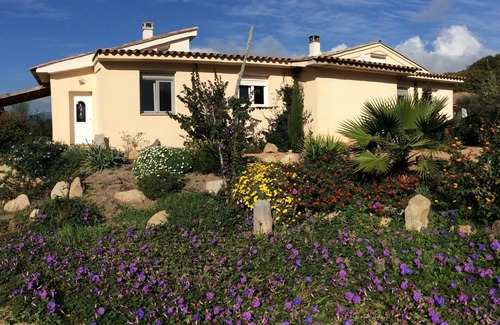 Figari House | Unwind at Appt Meublé: Oceanfront with Pool & Terraces