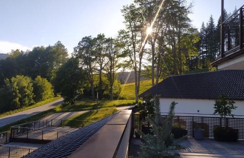 Bayerisch Eisenstein Apartment | Pet-Friendly Retreat at Apratmán Julie - Bavorská Ruda