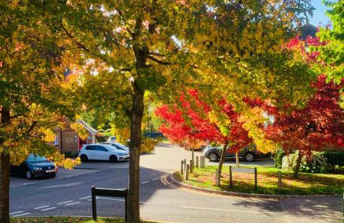 Hemel Hempstead House | Cozy Apsley Guest Rooms with Kitchen Amenities Await You