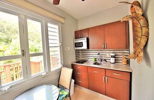Aguadilla Apartment | Relaxing Oceanfront Studio with Pool & Hot Tub for 6