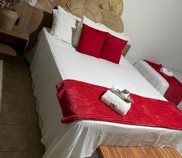 Bonito Apartment | Pet-Friendly Retreat at Apt Flat 210 - Rated 9.3/10