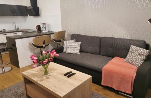 Kolobrzeg Apartment | Relax at APT Nadmorskie - Feniks with Oceanfront Views