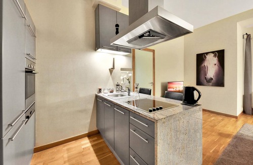 Vika Apartment | Guest Rated 10/10: Apt. Obs. gt. 12 with Breakfast & Kitchen