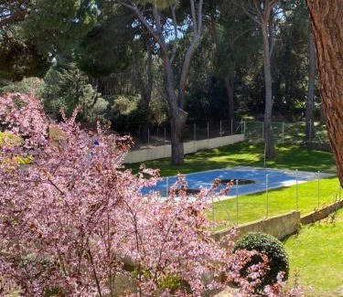 San Martin de Valdeiglesias Apartment | Discover Costa de Madrid: Family & Pet-Friendly Retreat