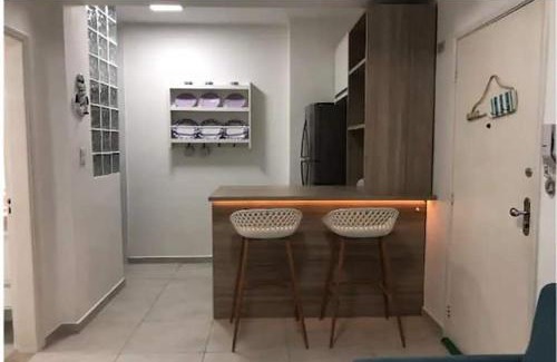 Aparecida Apartment | Oceanfront Apartment with Wi-Fi Steps from Santos Beach