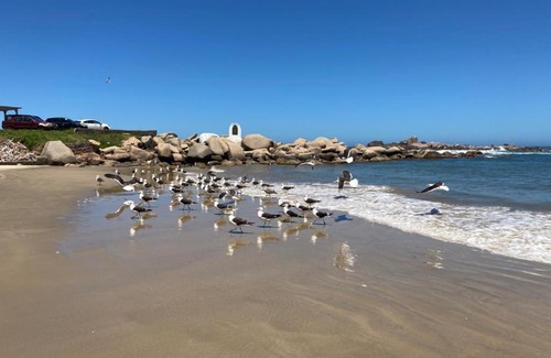 Laguna Apartment | Oceanfront Loft 323 with Gorgeous Sea and Lighthouse Views