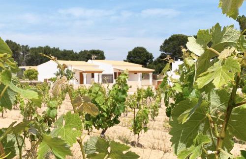 Sant Francesc Xavier House | Serene Aptos Rurales Can Pep de Sa Barda with Ocean Views