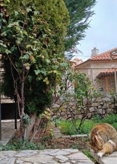 Arachova House | Arachova Maisonette