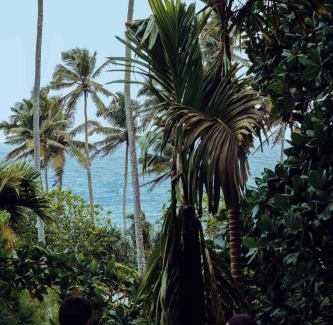 Matara House | Oceanview Retreat at Araliya Cabana - Family Friendly Escape