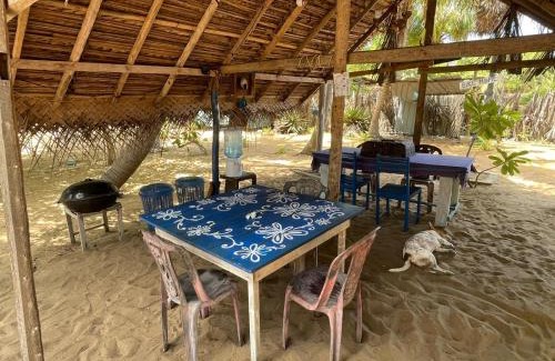 Kalpitiya Bed & Breakfast | Discover Araliya Villa: Oceanfront, Pet-Friendly Escape