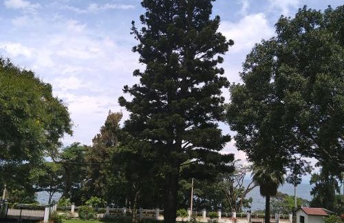 Gisenyi Hotel | Guest Rated 9/10 at Araucaria Residence: Family-Friendly Stay