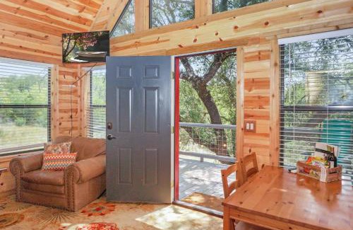 Dripping Springs House | Inviting Arbor House of Dripping Springs - Finch House Stay