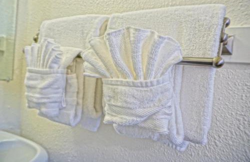 Oakridge Hotel | Cozy Arbor Inn Motel Oakridge - Pet and Child Friendly Stay