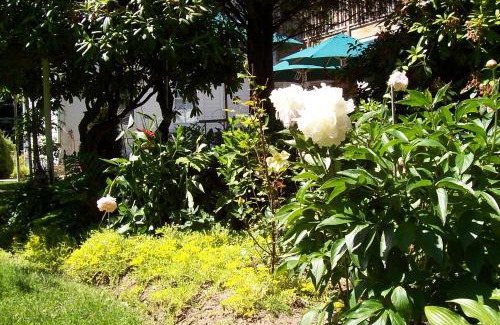 East Marion Bed & Breakfast | Relaxing Oceanfront Escape at Arbor View House B&B