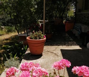 Eresos House | Discover Arcadia Eressos: Pet-Friendly Retreat with Spa