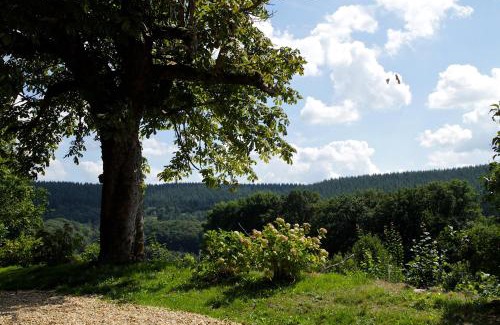 Sussac House | Guest Rated 10/10: ArcenFrance - Family Friendly Retreat