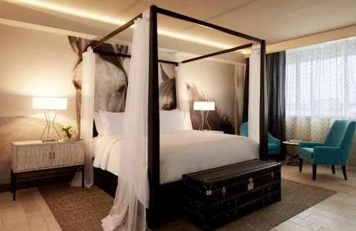 North Burnet Hotel | Discover Archer Hotel Austin: Top-Rated & Pet Friendly Stay