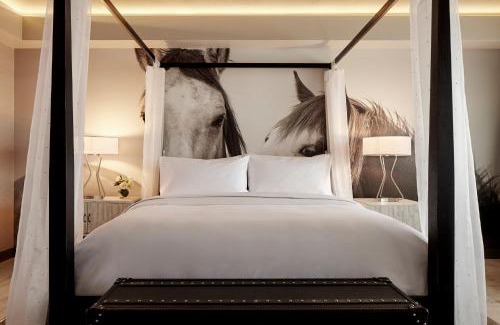 North Burnet Hotel | Discover Archer Hotel Austin: Top-Rated & Pet Friendly Stay