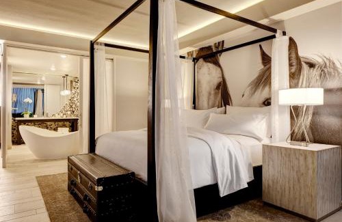 North Burnet Hotel | Discover Archer Hotel Austin: Top-Rated & Pet Friendly Stay