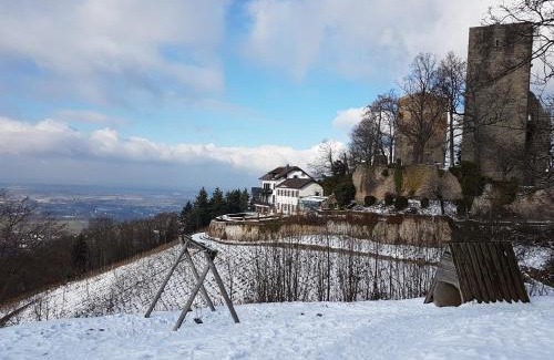 Ottersweier House | Cozy Holiday Homes in Ottersweier, Germany - Guest Rated 9/10