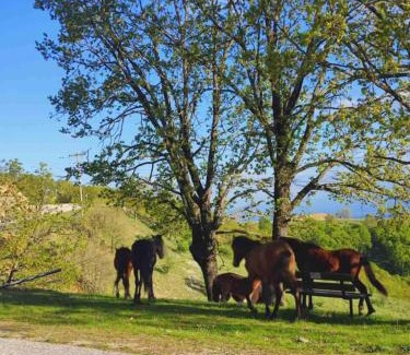 Vlachava House | Cozy Arhontiko Fotini: Family-Friendly with Breakfast Included