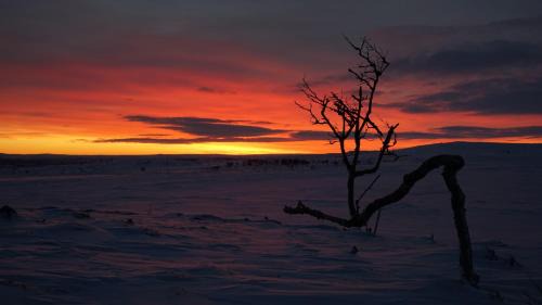 Utsjoki Ski Chalet | Experience Arctic Aurora Borealis Cottages by the Ocean