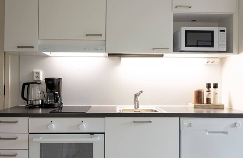 Rovaniemi Apartment | Arctic City Suite I by BookLapland