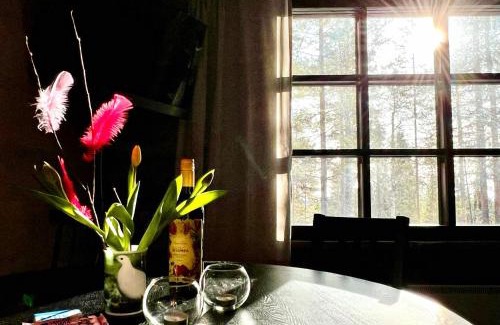 Pyhatunturi Apartment | Family-Friendly Arctic Lodges: Ski-In Access & Wi-Fi