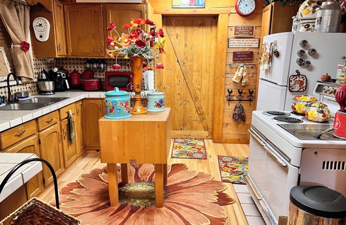 Custer County Cabin | Cozy Cabin Retreat: Pet-Friendly with Breathtaking Views