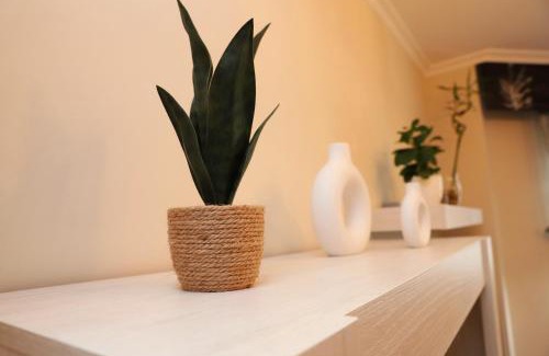 Lugo Apartment | Arel Dúplex