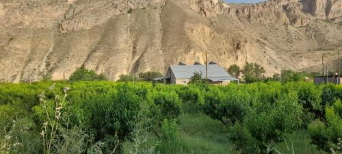 Areni Bed & Breakfast | Explore Areni Tavern-B&B: Guest Rated 9.6/10 with Pool