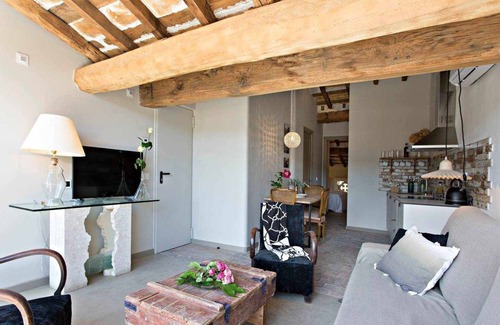 Olot Apartment | Argenter Penthouse: Deluxe Terrace Retreat with Pool