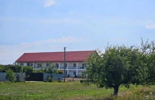 Transcarpathia House | Affordable Family-Friendly Stay at Argo Hotel