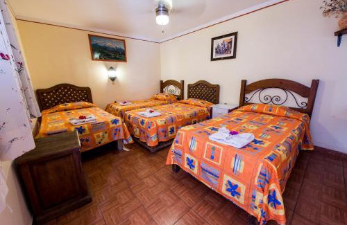 Oaxaca Hotel | Discover Arisa: Family-Friendly Hotel with Pool Amenities