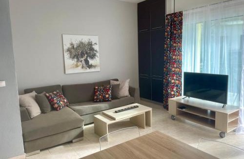 Neos Marmaras Apartment | Pet-Friendly Aristos Hillside Apartment with Hot Tub