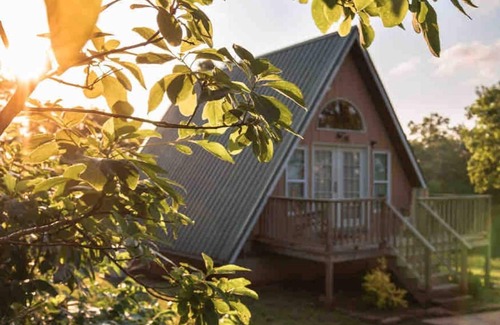 Harrison Cabin | Arkansas A-Frame creates cozy, comfortable memories for years to come.