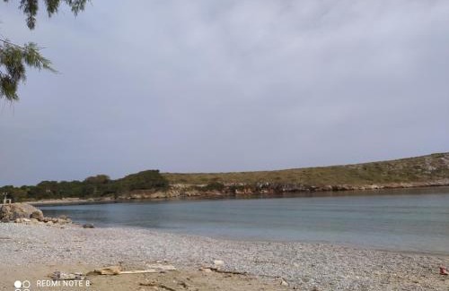 Arkoi Hotel | Pet-Friendly Retreat at Arki Island-Katsavidis Awaits